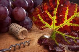 Oenology Tools.jpg